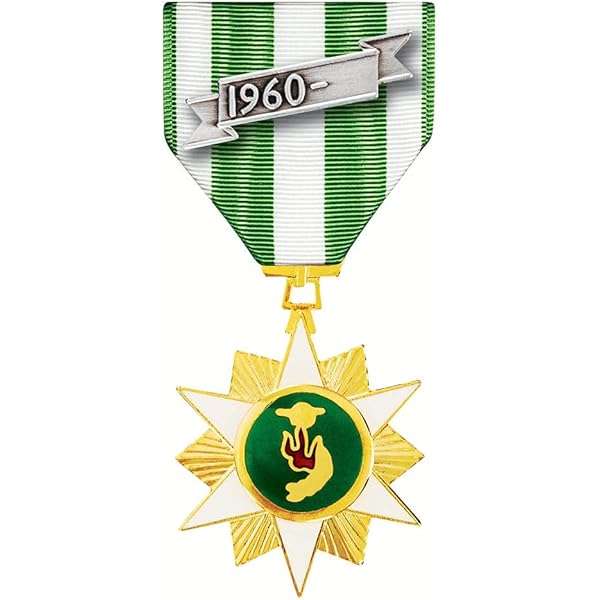 アメリカ海兵隊 メダル コレクションまとめ売り 2025年最新】Yahoo!オークション -アメリカ海兵隊(勲章)の中古品